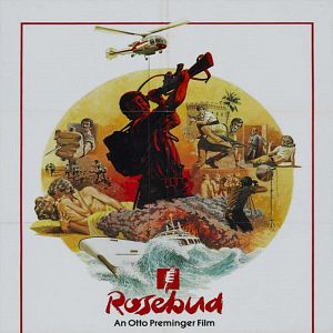 Bilder Unternehmen Rosebud