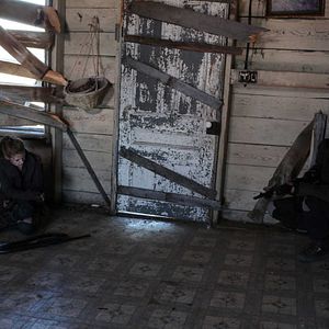 Bilder The Day - Fight. Or Die.