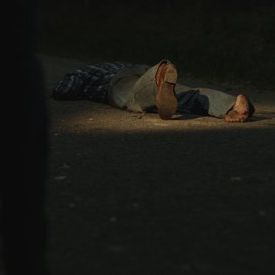 Bilder Crawl - Home Killing Home