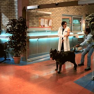 Bilder Catherine Benguigui