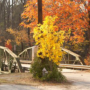 Bilder Das wundersame Leben von Timothy Green