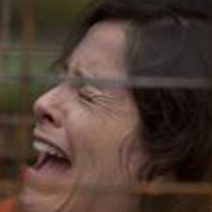 Bilder Cristina Rosato