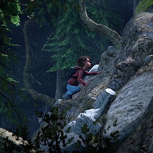 Bilder Der große Bär