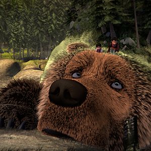 Bilder Der große Bär