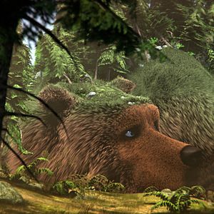 Bilder Der große Bär