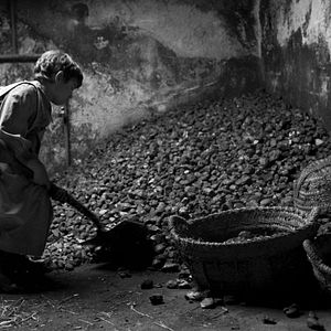 Bilder Blancanieves - Ein Märchen von Schwarz und Weiß