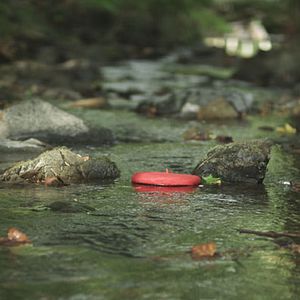 Bilder Arriya (La Piedra)