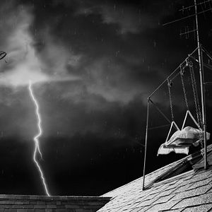 Bilder Frankenweenie