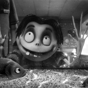 Bilder Frankenweenie