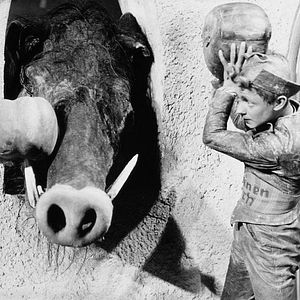 Bilder Das tapfere Schneiderlein