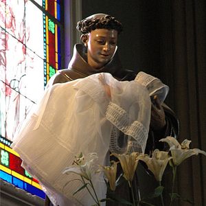 Bilder Agnus Dei: Cordero de Dios