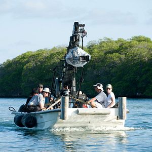 Bilder Ein Jahr vogelfrei!