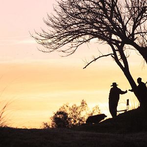 Bilder ¡Vivan las Antipodas!