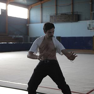 Bilder Alms of the Blind Horse