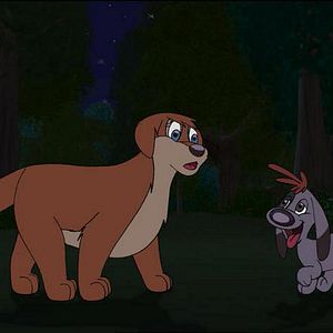 Bilder Scruff. El sueño de una noche de verano