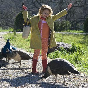 Bilder Wir kaufen einen Zoo