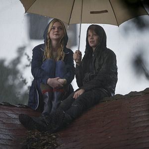 Bilder Wir kaufen einen Zoo