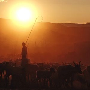 Bilder Jon face aux vents