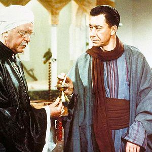 Bilder König der Wüste