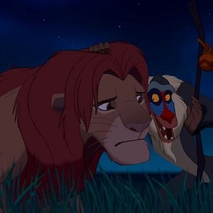 Bilder Der König der Löwen