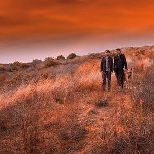 Bilder John Dies at the End