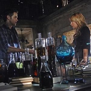 Bilder Thomas Dekker