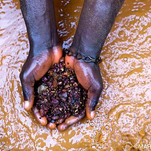 Bilder Blood in the Mobile