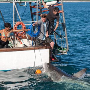 Bilder John Stockwell