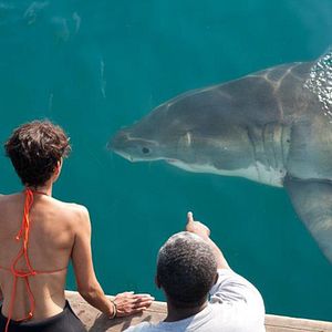 Bilder John Stockwell