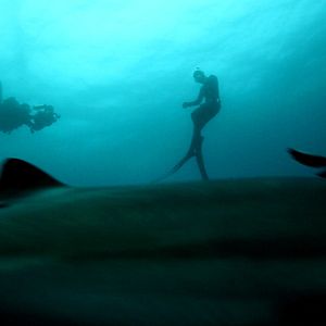 Bilder John Stockwell