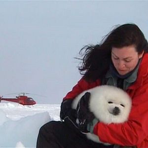 Bilder Bekenntnisse eines Öko-Terroristen