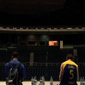 Bilder Phoenix in der Asche