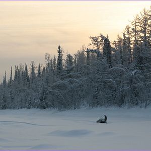 Bilder Happy People: Ein Jahr in der Taiga