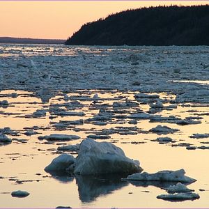 Bilder Happy People: Ein Jahr in der Taiga