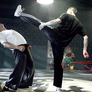 Bilder Tiger & Dragon Reloaded