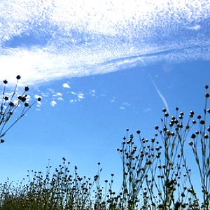 Bilder La Pluie et le beau temps