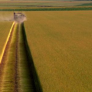 Bilder La Pluie et le beau temps