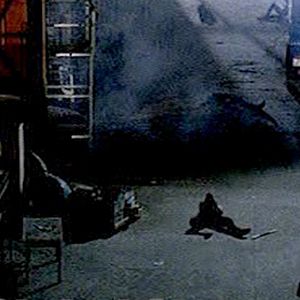 Bilder Mass destruction