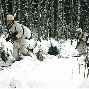 Bilder Operation Polarfuchs