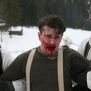 Bilder Operation Polarfuchs