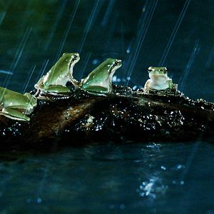 Bilder Marie Pérennou