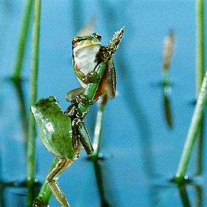 Bilder Marie Pérennou