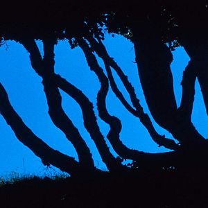 Bilder Marie Pérennou