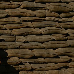 Bilder In the Land of Blood and Honey