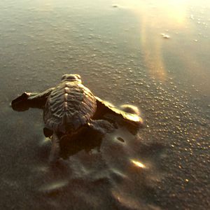 Bilder Herz des Himmels, Herz der Erde