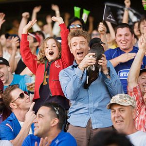 Bilder Love Birds - Ente gut alles gut