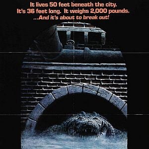 Bilder Der Horror-Alligator