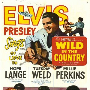 Bilder Das Lied des Rebellen