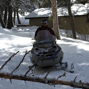 Bilder Snow Beast - Überleben ist alles