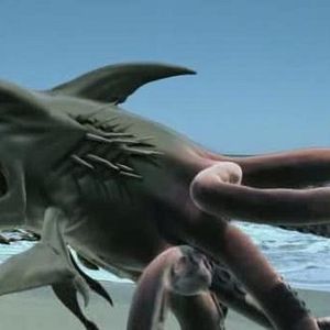 Bilder Sharktopus